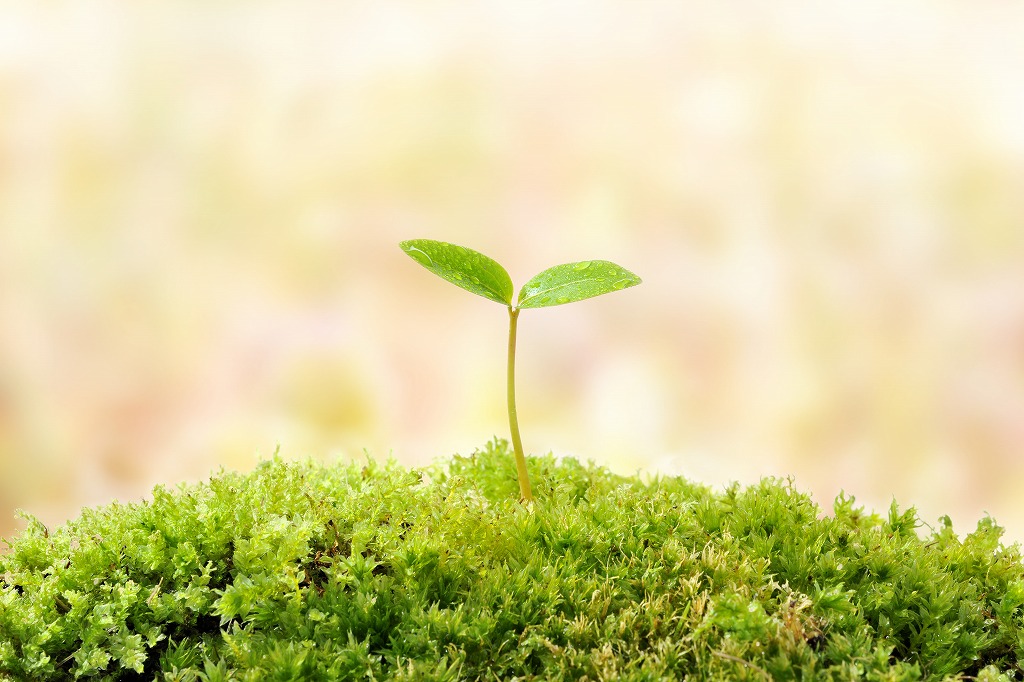 【求人情報】佐々木空調で働く楽しさと空調工事の学びを得よう！